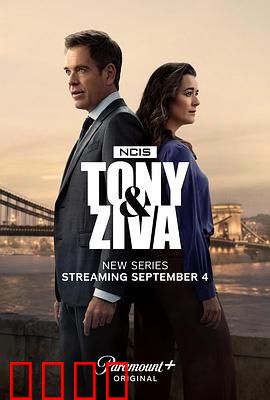 海军罪案调查处：罪案终结者