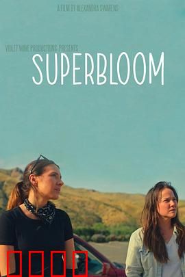 心花怒放：中年浪子的治愈之旅