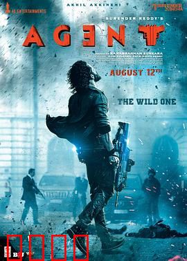 野蛮特工：生死营救