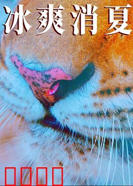 寒冰白血：冰原复仇记