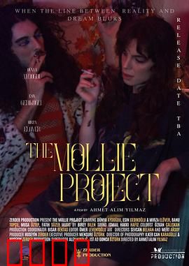 莫莉计划：觉醒的AI