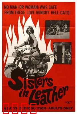 皮衣姐妹：暗夜复仇