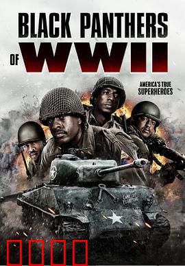 二战黑豹：铁血突击