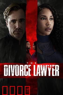 离婚律师：金牌律政攻防战