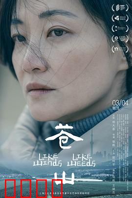 苍山：无声的誓言