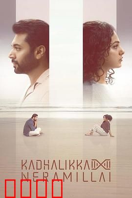 无暇顾爱：职场女王的爱情觉醒