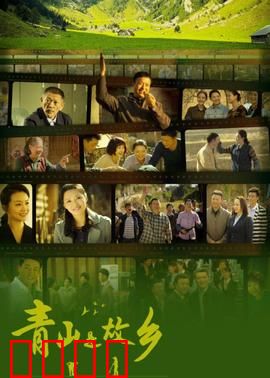 青山是故乡：返乡创业记