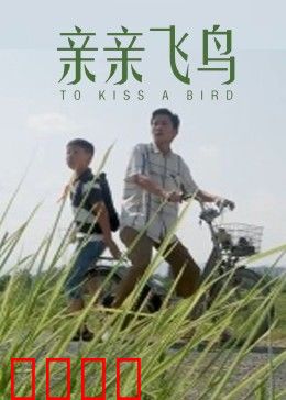 亲亲飞鸟：人与自然的温情守候