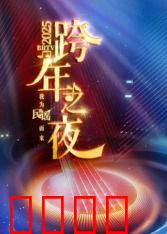 2025北京卫视跨年：梦幻狂欢夜