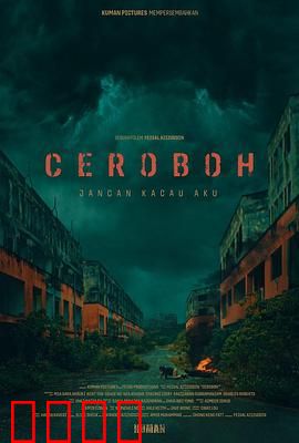 尖叫天空：最后的飞行谜团