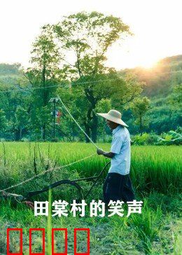 田棠村的笑声：笑声里的幸福