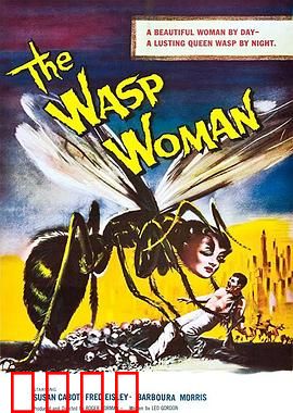 黄蜂女：量子救赎之路