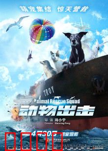 动物出击：团结的力量