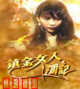 镇金女人周记粤语：职场生存记