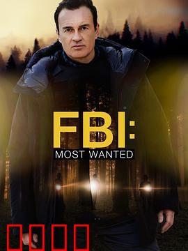 联邦调查局：暗影追击
