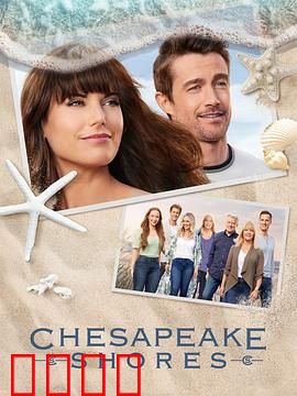 湾畔倾情第五季：爱恨交织新篇章