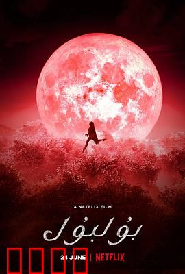 童养媳之谜：暗夜新娘