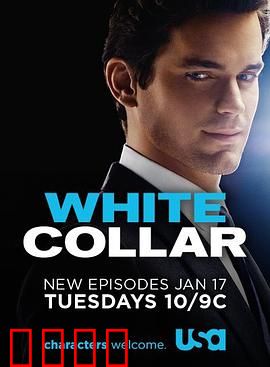 妙警贼探第三季：寻母谜局