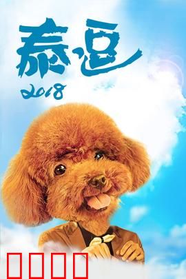 泰逗2018：笑点密集