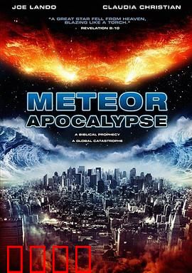 流星的启示：命运的代价