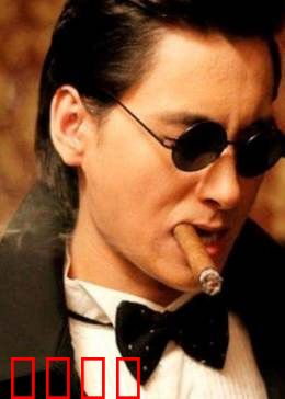 百合绽放：真爱无界