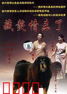藏獒情未了：忠犬与主人