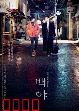 白夜：一夜深情