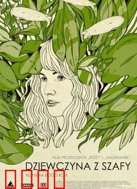 衣橱里的她1：衣柜藏尸谜