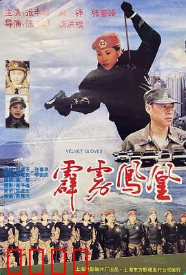 霹雳凤凰：铁血警花