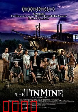 锡矿山：矿工血泪史