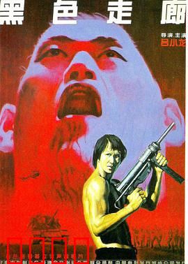 黑色走廊：毒枭末路