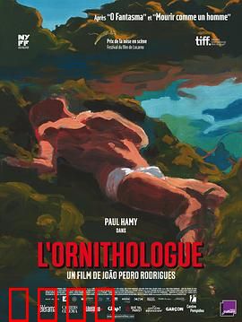 鸟类学家：荒野寻鸟遇神迹