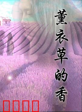 薰衣草的香：记忆中的芬芳