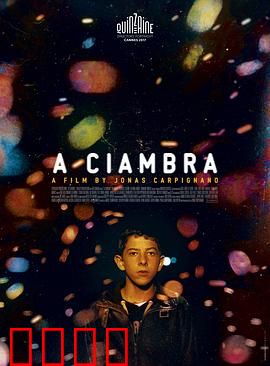 罗姆男孩：边缘少年的血色青春