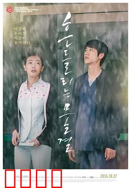 绽放2015：梦想的舞台