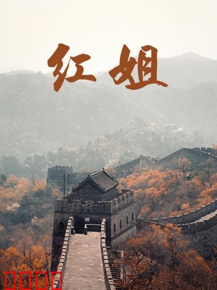 红姐2017：江湖最后的传说