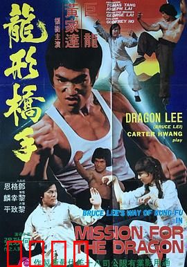 鹰拳：复仇之鹰