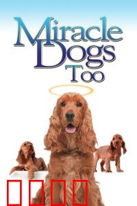 天降神犬2：黄金接球手