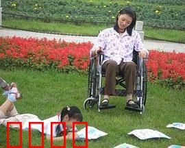 小小心愿：梦想之光