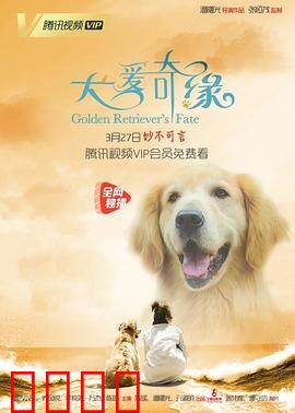 犬爱奇缘：跨越物种的爱