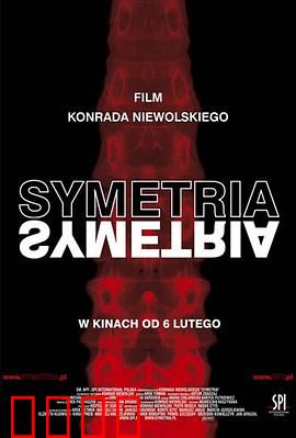 对称：失控的镜像谜局