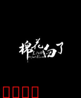 棉花白了：棉农的泪与笑