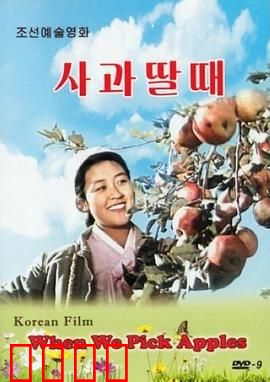 摘苹果的时候：丰收之恋