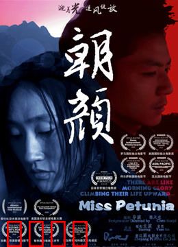 朝颜：牵牛花般的守望