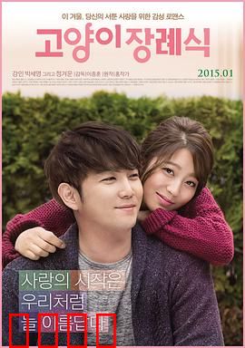 猫的葬礼：死去的爱情