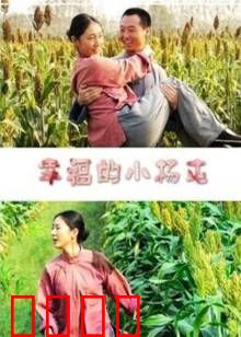 幸福的小杨屯：互助共富路