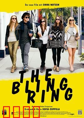 珠光宝气：名利场的疯狂窃贼