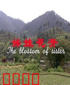 姊妹花开：姐妹情深共逐梦