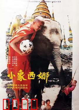 小象西娜：草原孤儿成长记