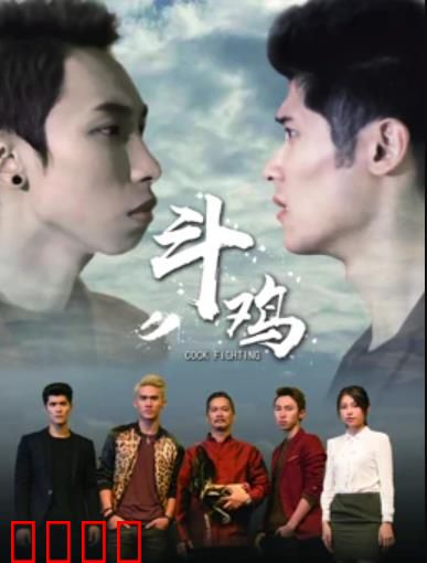 斗鸡：赌徒的覆灭